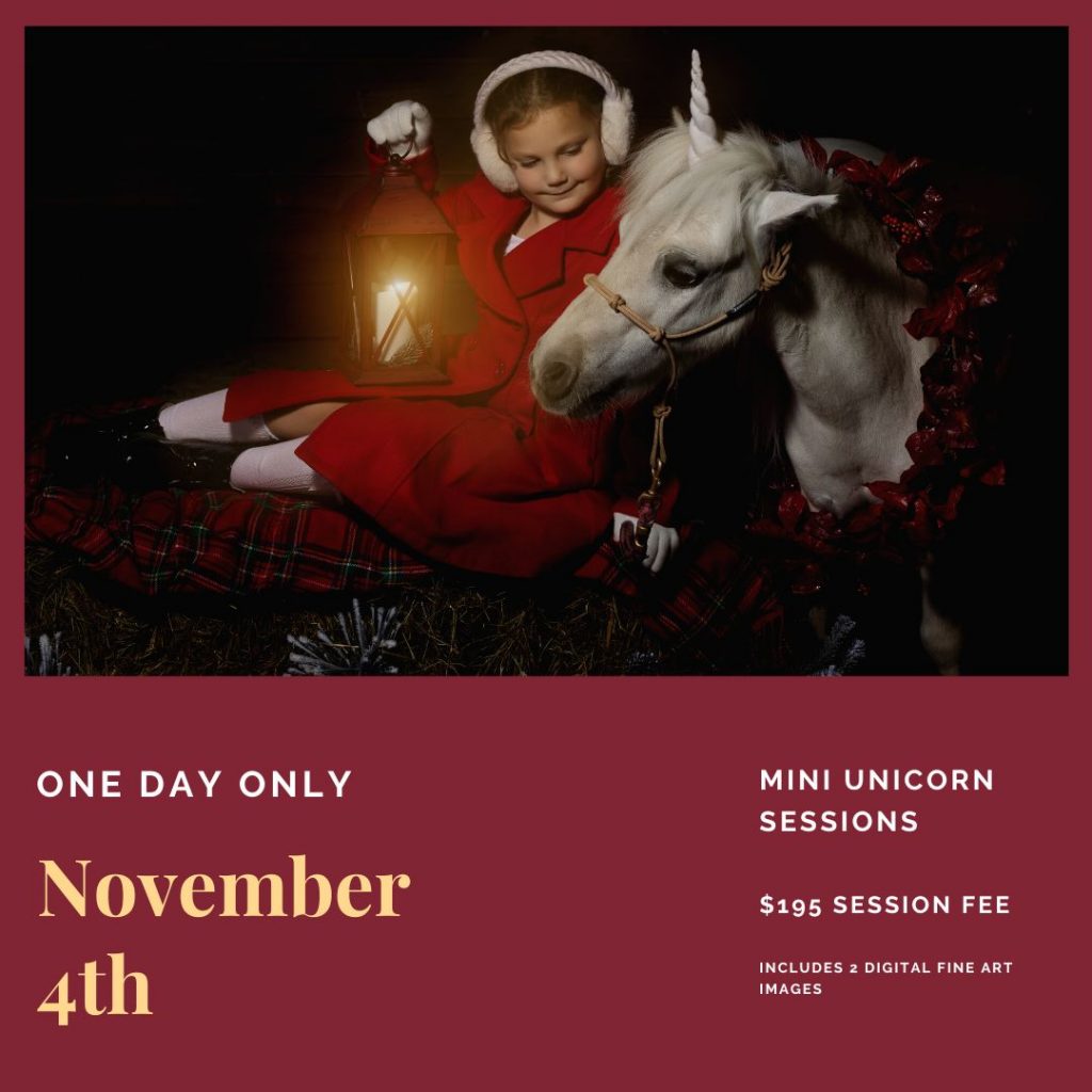 Unicorn Christmas mini sessions near Portland, OR. Stylized fine art portraits that are dark and moody with glowing light effects.
